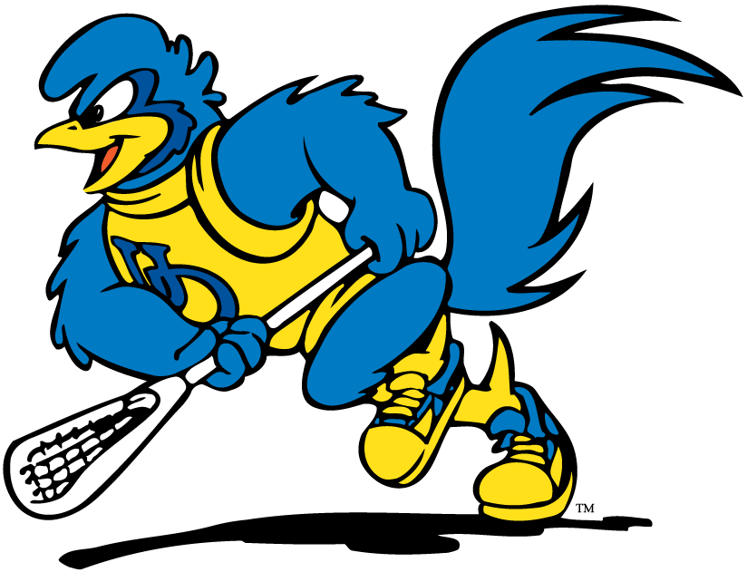 Delaware Blue Hens 1999-Pres Mascot Logo 09 iron on paper